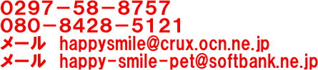 電話 0297−58−8757
080−8428−5121
メール happy-smile-pet@softbank.ne.jp